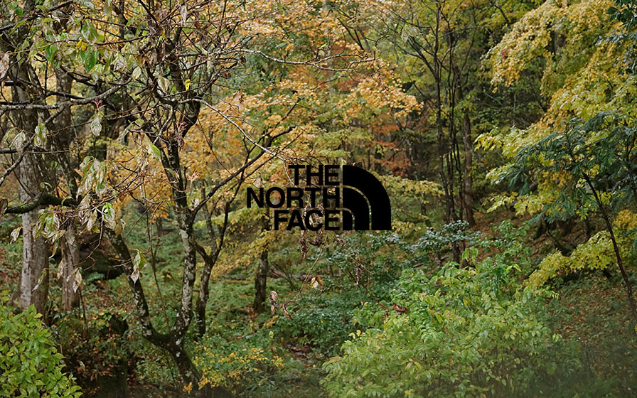 THE NORTH FACE